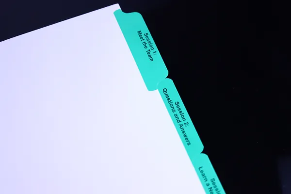 Green Mylar index tabs printed with client-facing section titles