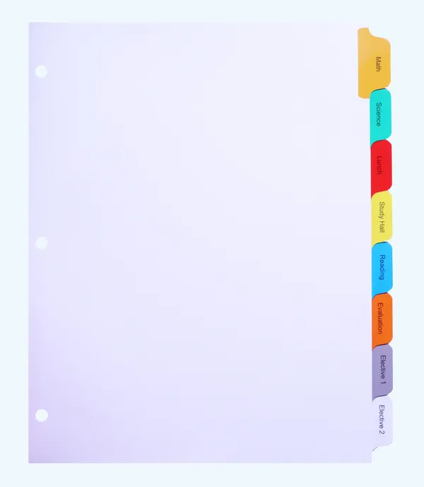 Custom printed index tab divider set with multicolored Mylar tabs down the right edge on a white background