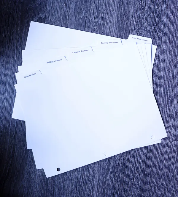 Index tab dividers with clear Mylar tabs printed with advisor section titles, fanned to show each tab position